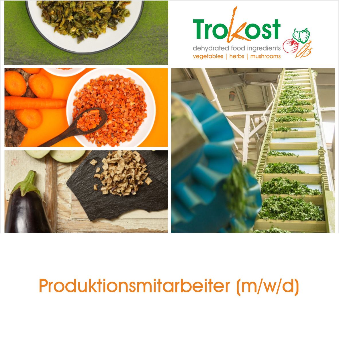 Produktionsmitarbeiter (m/w/d)- Werk Bruchhausen