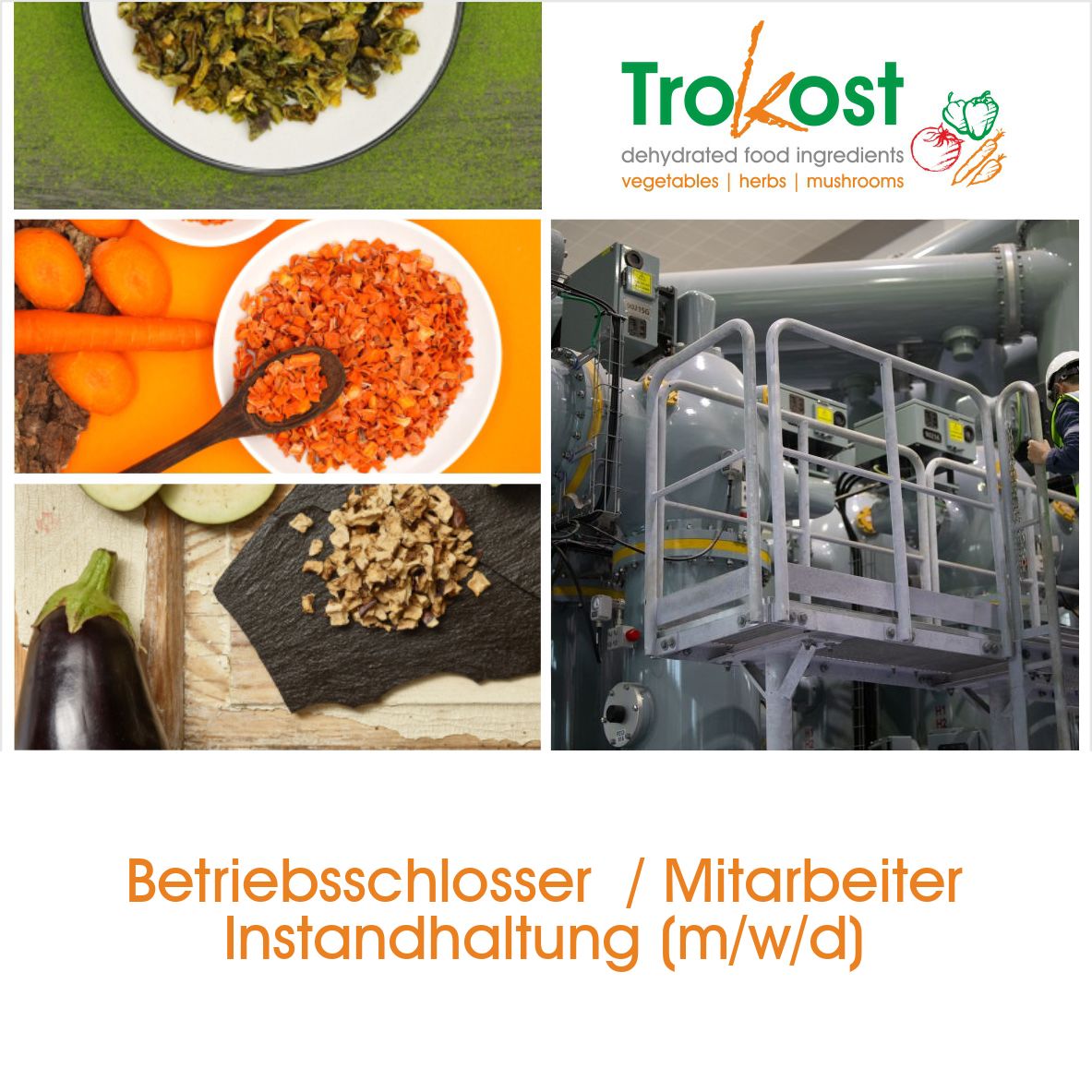 Betriebsschlosser  / Mitarbeiter Instandhaltung (m/w/d)- Werk Bruchhausen